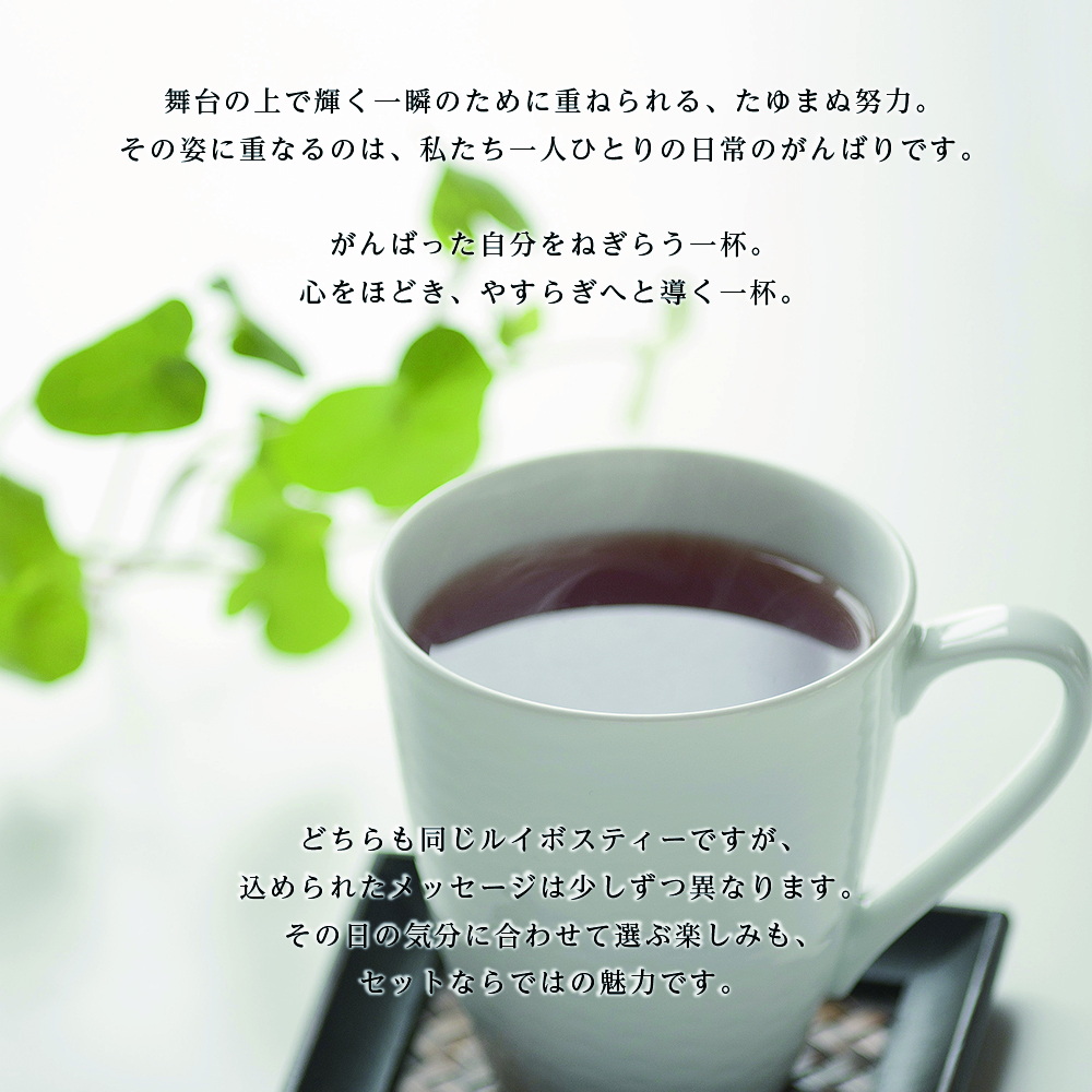 【ヤマカイ特別パッケージ】ルイボスAOAティースーパー3g